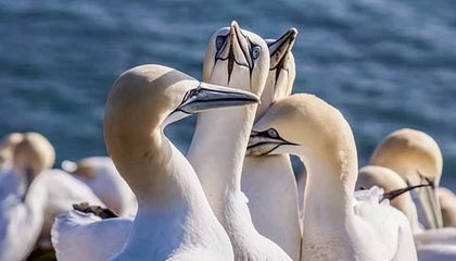 海盐最新公积金卡提取现金方法app方法分析(最方便真实的海盐公积金卡怎样从手机里取出来?方法)